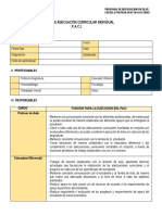 FORMATO PACI OFICIAL.docx