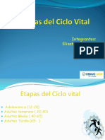 ciclo vital