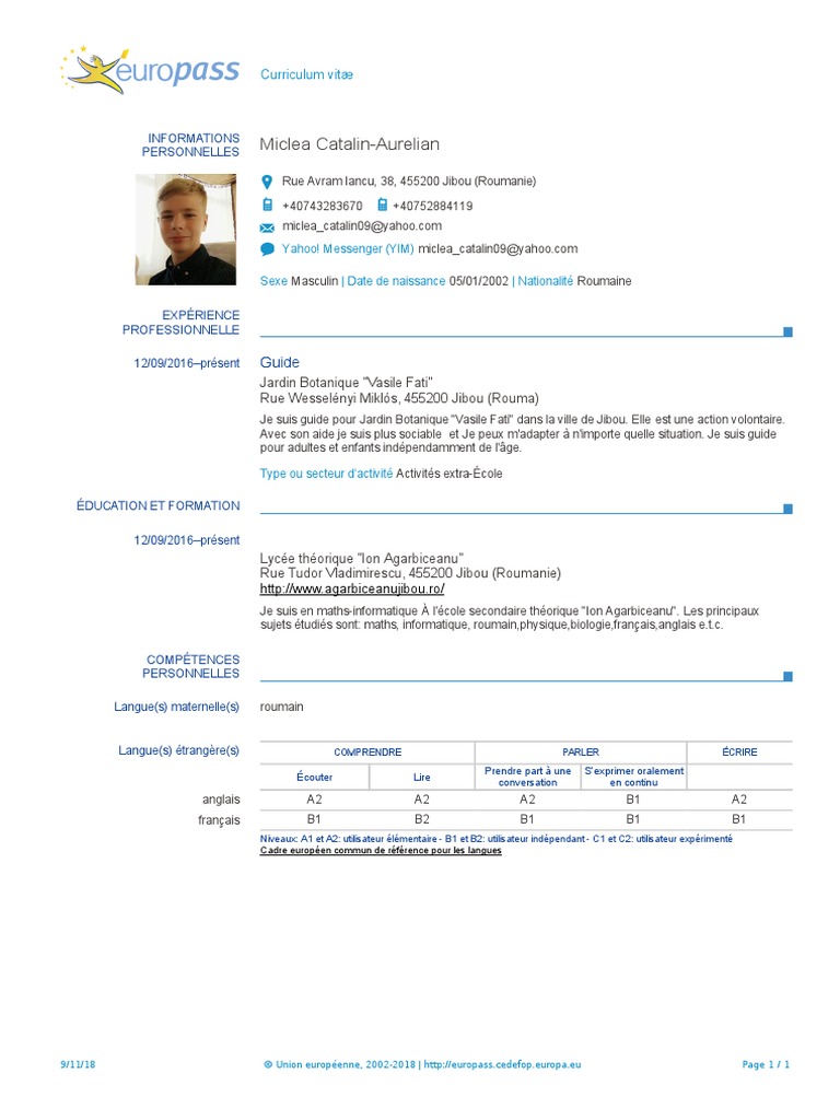 Curriculum Europass Download Pdf