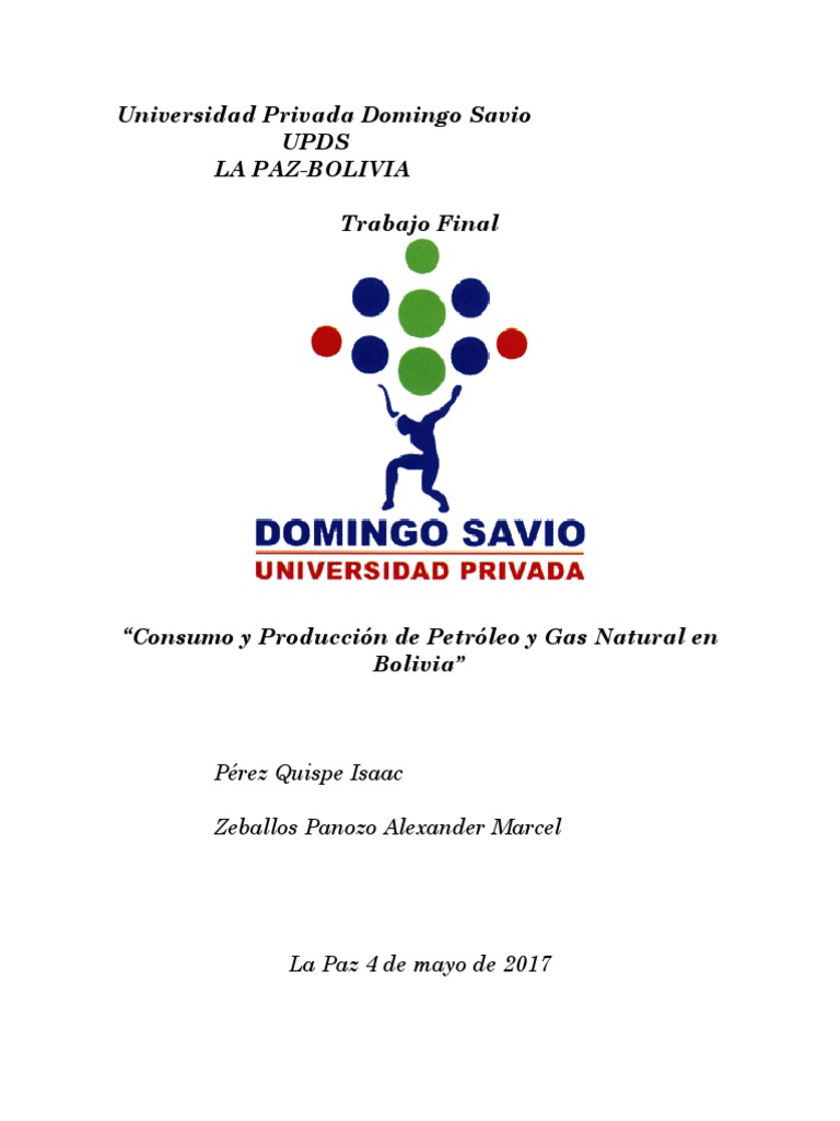 Producción de Petróleo y Gas en Bolivia | PDF | Petróleo | Bolivia