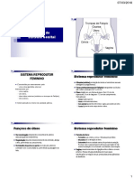 02 - Anatomia do Sistema Genital.pdf
