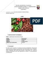 CAFÉ-VEGETAL-2-BIMESTRE-OBACO-Y-TORRES(1).docx