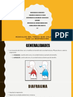 Musculos Del Torax (Respiración)