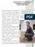 Programa Prevencion Riesgo Laboral