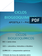 Biologia PPT - Aula 3 - Ciclos Biogeoquímicos