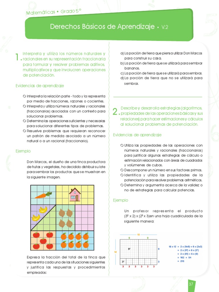 DBA Matemáticas Grado 5: Contenidos y Ejemplos | PDF | Fracción ...