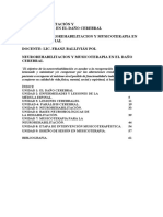 Modulo 3 Neurorehabilitacion y Musicoterapia en El Daño Cerebral PDF