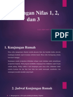 Kunjungan Nifas