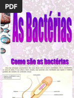 Biologia PPT - Bactérias