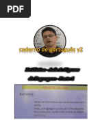 V2 portugues.pdf
