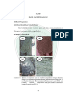 Lichen Bab 4 PDF