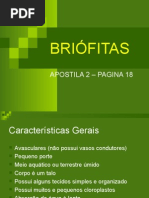 Biologia PPT - Briofitas
