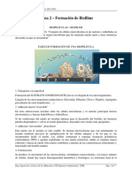 Tema2-Formacion-y-desarrollo-de-Biopeliculas.pdf