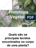 Biologia PPT - Histologia Vegetal