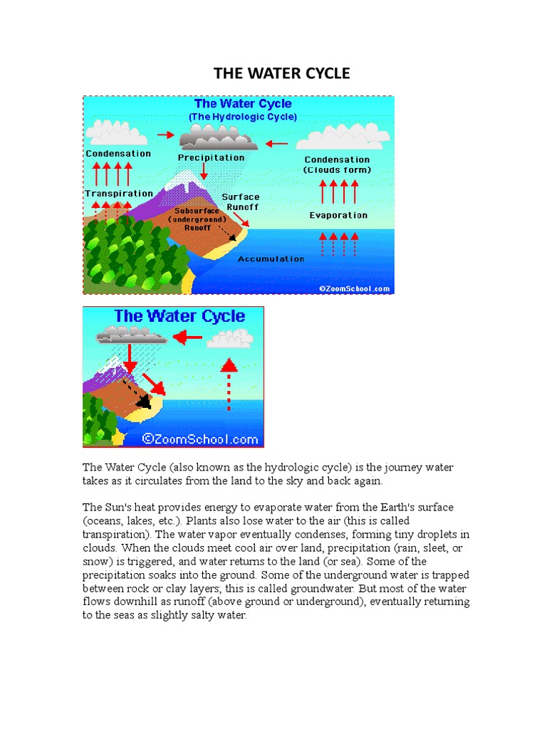 The Water Cycle | PDF | Water Cycle | Water Vapor