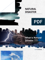 Natural Disaster: Alpine