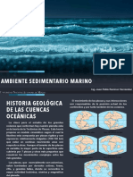 Ambiente Sedimentario Marino PDF