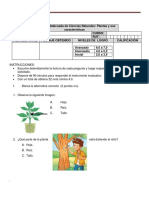 Evaluación Plantas Frutos y Semillas TOMAS