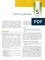 cap-5.pdf
