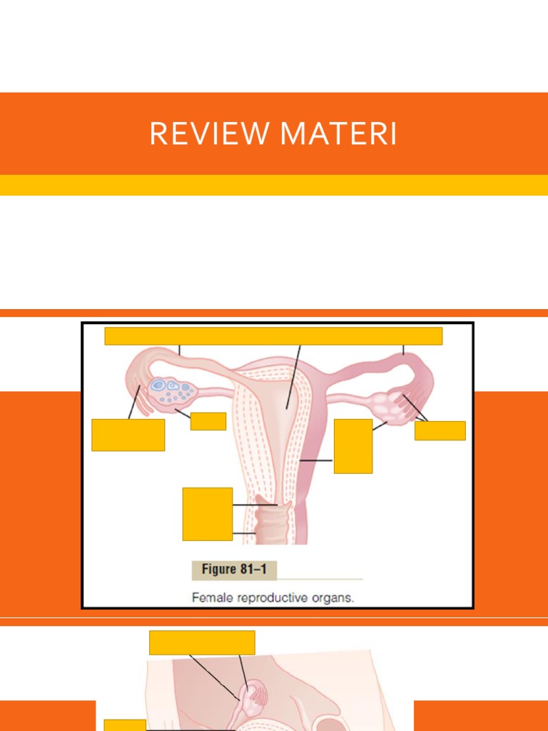 Review Materi Pdf Pdf