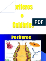 Biologia PPT - Invertebrados Marinhos I