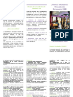 Triptico Formato 1