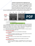 Carbonatação Do Concreto