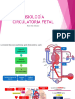 Fisiologìa Circulatoria Fetal