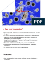 Zooplancton PDF