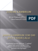 Jaman Kambrium (590-500 Juta Tahun Lalu)