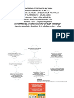 B3_A1_mapa_aspectos_salud_edu_inicial_infografia_flores_magdalena_19_marzo_2019(1).pdf