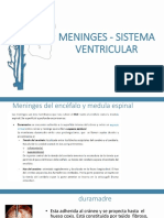 Meninges - Sistema Ventricular