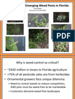 Weed ID and Emerging Pests in Florida Gardens