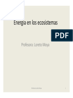 energía en los ecosistemas 1º MEDIO (1).pdf