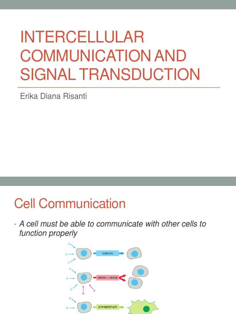 Intercellular Communication Mechanisms | PDF | Cell Signaling | Signal ...