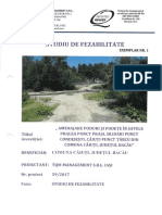 Studiu de Fezabilitate - Parte Scrisa - Optimized PDF