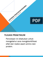 IDENTIFIKASI PROTEIN