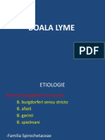 Boala Lyme