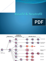 Basofil & Neutrofil