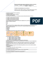 Evaluacion Mitosis Meiosis