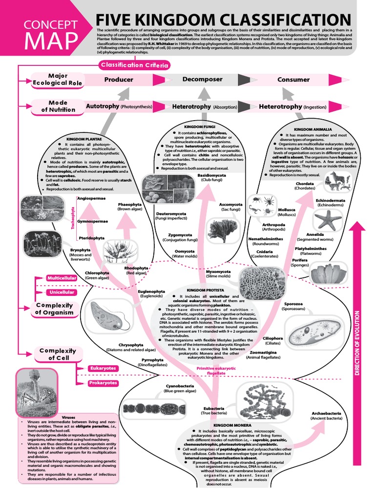 Biology - November 2017 | PDF | Cell (Biology) | Eukaryotes