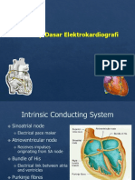 Konsep Dasar EKG