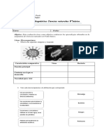 Evaluación Diagnóstica 8° Básicos.