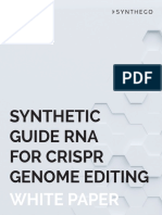 Synthetic Guide RNA For CRISPR Genome Editing