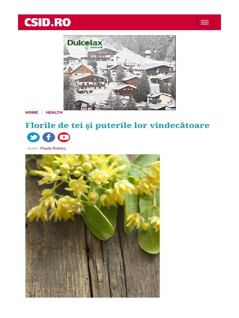 Florile De Tei Si Puterile Lor Vindecatoare 10984708