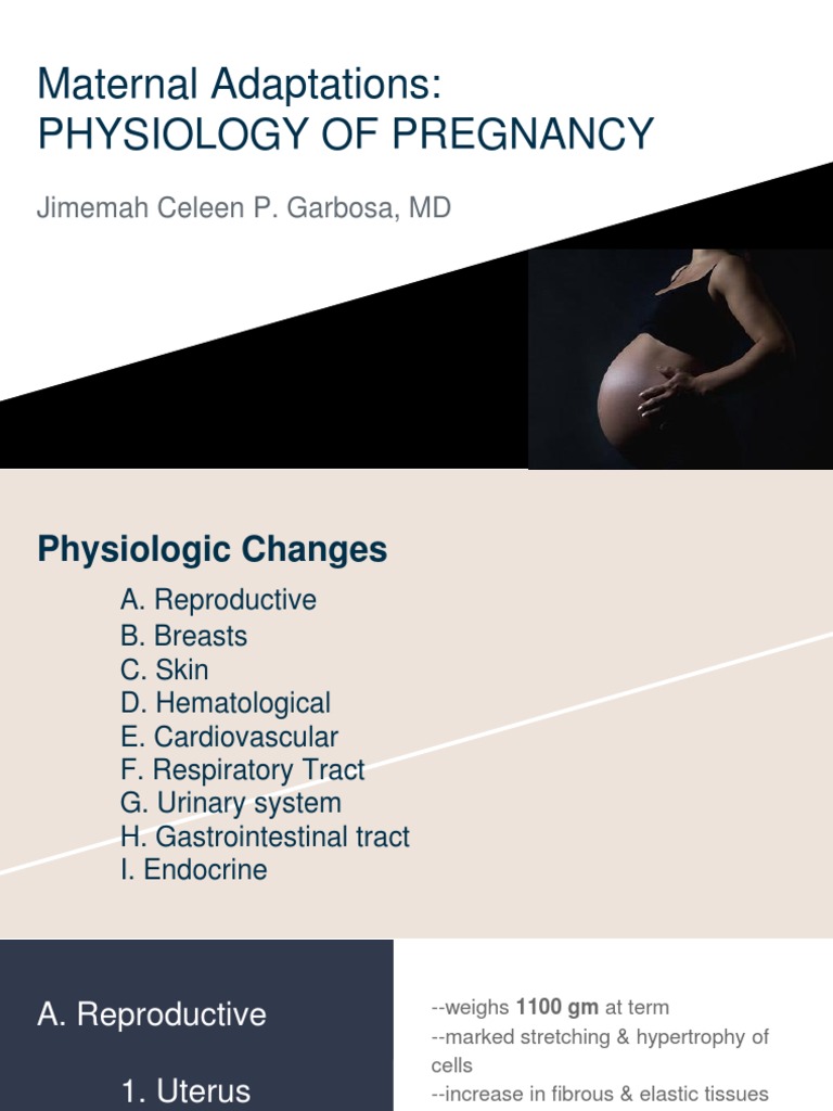 Physiological Changes During Pregnancy | PDF | Angiotensin | Endocrine ...