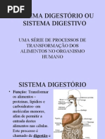 Biologia PPT - Sistema Digestivo I
