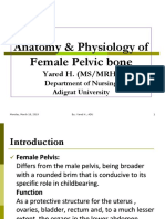 Anat & Phy of Pulvic Bonee