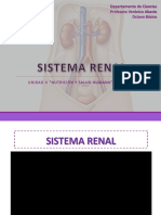 Sistema Renal