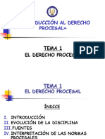 01-DERECHO-PROCESAL.PPT